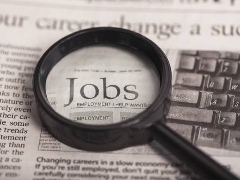 Employment and job placement services